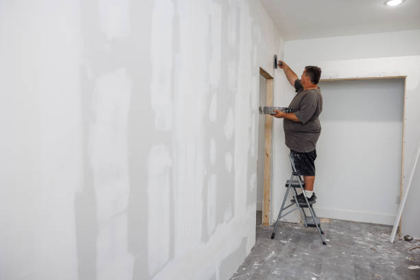 Best Wallpaper Removal and Painting  in USA